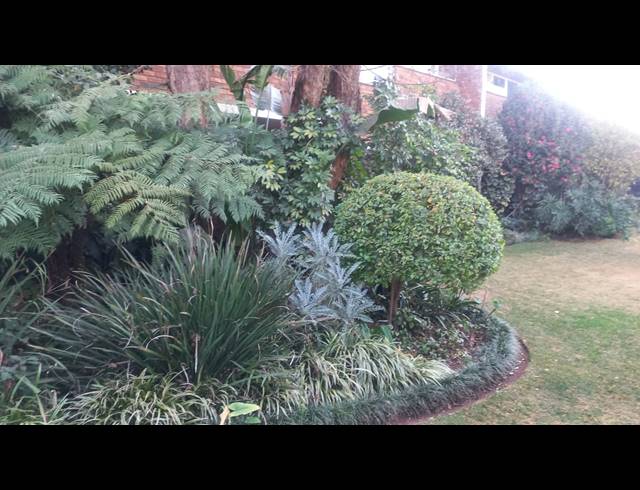 2 BEDROOM APARTMENT FOR SALE IN SPRINGS CENTRAL